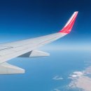 사비켄넬 이미지