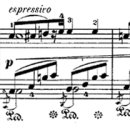 세류3 138-56 | 쇼팽 피아노 소나타 제1번 다단조, 작품번호 4 Chopin Piano Sonata No. 1 in C minor, Op. 4 / 악보를...