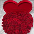 그대발길머무는곳에 이미지