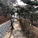3월 9일(월) 남산타워 트레킹+막내횟집(번개) 이미지