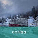 다오리펜션 네이버블로그