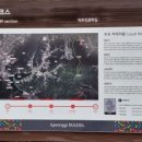 금광초등학교조령분교 이미지