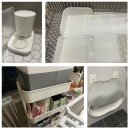 톰퍼피 강아지분양 이미지