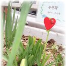 예쁜새싹어린이집 이미지