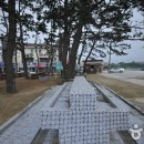 동호해수욕장 Daum카페