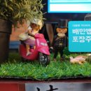 인생극장쪽갈비운서점 | 영종도 운서 쪽갈비
