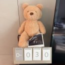 채움컴퍼니 | 임신35주차｜결국 터진 튼살부터 코엑스 베이비페어 방문, 아기 빨래 시작!