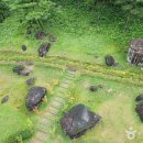 화순군고인돌유적지5쉼터대신리 | [전라남도 화순군] 화순 고인돌 가을꽃 축제