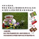 구운 고등어 구이 생선 구이 갈치 가자미 임면수 반찬 아기 반찬 밑반찬 편리하고 쫀득한 구운 맛생선 .[영화] 커피메이트 (Coffee Mate, 2017.03.01 이미지