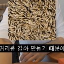 “혈당관리” 중이라면 오트밀크 먹지마세요 이미지