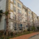 라온학교 이미지