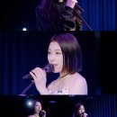 라이브펀치