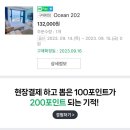 함덕스쿠버다이빙 이미지