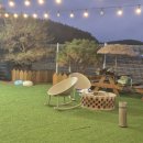 평원애견 | 대부도 가족 여행 반려견 전용 풀빌라 행복했던 시간