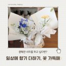 별내에너지 노동조합 | [남양주꽃집 꽃가득해] 꽃으로 채운 오늘의 온도, 별내 꽃집