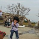 김시연 카카오 검색결과