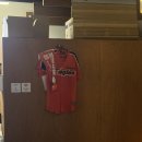 오늘막회 | 대전 봉명동 모임 술집 추천 < 깻잎막회 >