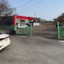 소동맛짬뽕