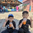 유성태권도 | 광주태권도 아이들의 웃음이 가득한 유성태권도 후기