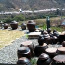 다실산유화