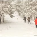 동화나라 이미지