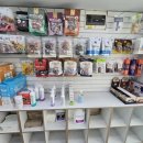 왕왕애견샵 이미지