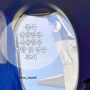 중국남방항공, 산동항공 후기 sc4606 sc4611 기내식, 좌석 간격 등 항공사 feat. 고우투트립 gototrip
