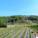 성지골낚시터 네이버블로그