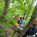 한국복지사이버대학교 이미지