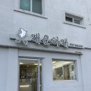 개운하개 | 광주 남구 애견미용 알머리컷 후기 : 개운하개