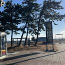 지에스25 군산비응항점 | 군산 현지인 맛집 비응반점 간짜장 갑오징어탕수 해물짬뽕