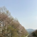 양재시민의숲 공원 테니스장 이미지