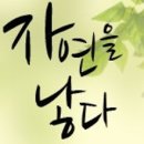 그레이스병원 이미지