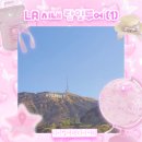 LA 시내 당일투어 &lt;1&gt; :: 할리우드 사인, 워크 오브 페임, 폴 스미스 핑크 월, 베벌리 힐즈, 인앤아웃...