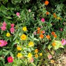 목향 한정식 이미지