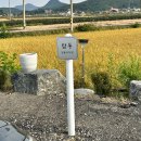 톰과제리(삼동점) | 인천 강화도 애견동반 숙소 뽀아하우스 삼동 독채 펜션 후기