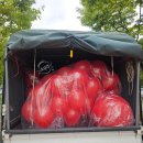 달성군청소년문화의집 | 경주풍선｜지역행사풍선｜제11회 가창청소년축제｜가창체육공원｜대량헬륨풍