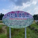 항몽유적지 이미지