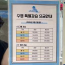 (주)월드스포츠컨설팅 | KBS스포츠월드 일요일 자유수영 후기 (서울 50m 수영장)