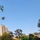 신화아파트경로당 이미지