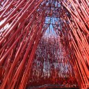 영월Y파크(술샘박물관) 이미지