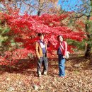 별찌펜션 이미지