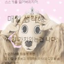 아임마인드 네이버블로그