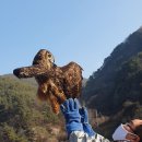 경북야생동물구조관리센터 이미지