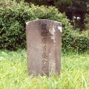 월계옆골 | [향토문화]명의..동명리 문수동 월계진좌수(진국태)의 묘