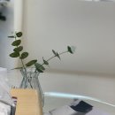탈모케어존부산동래점