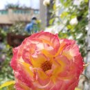 (주)슈파스 이미지