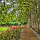 금산농협하나로마트비호점 이미지