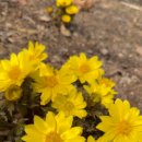 죽산초교길 이미지