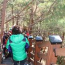 산바다여행 이미지